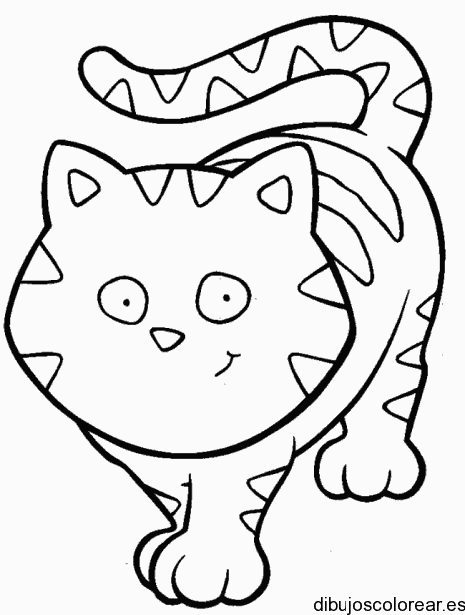 Dibujo de un gato gordo