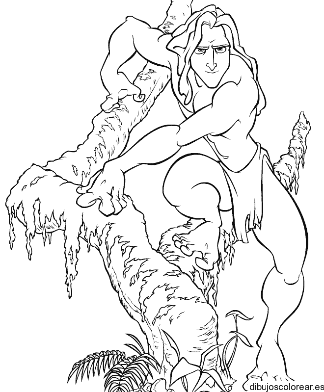 Dibujo de Tarzán en un árbol