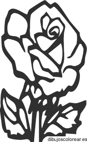 Dibujo de una rosa