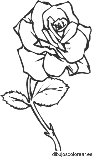 Dibujo de una rosa con su tallo