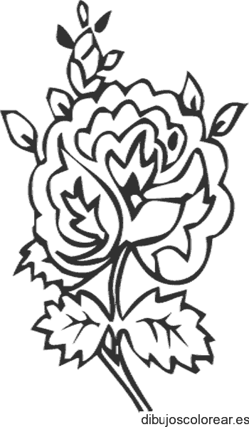 Dibujo de una pequeña rosa