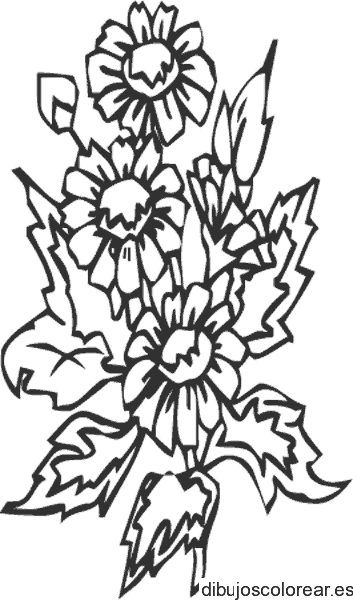 Dibujo de un ramo de margaritas