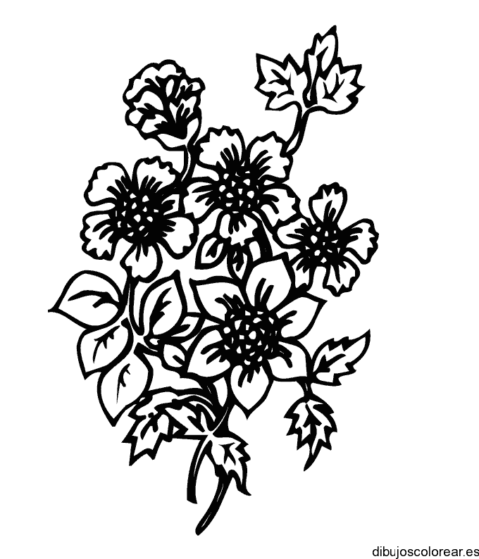 Dibujo con girasoles