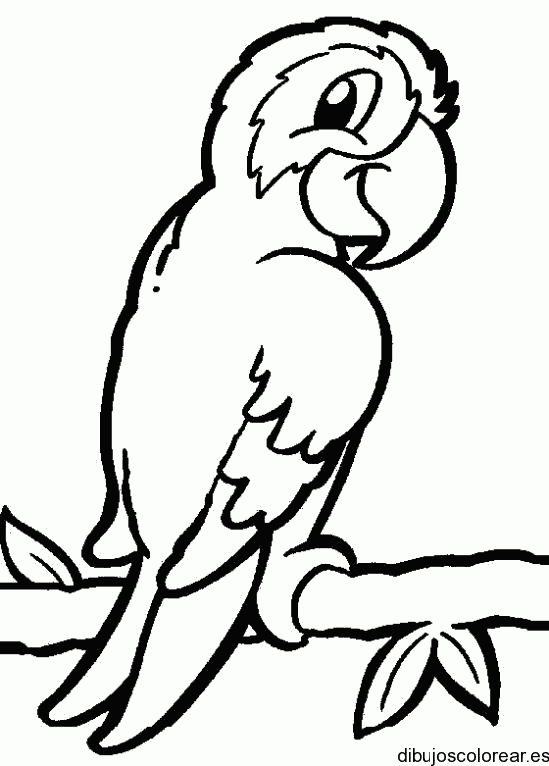 Dibujo de un loro en una rama