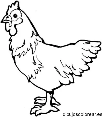 Dibujo de un gallo