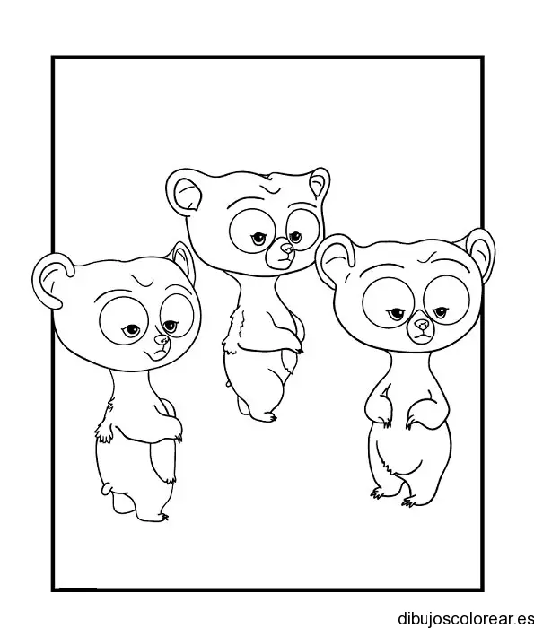 Dibujos de osos 