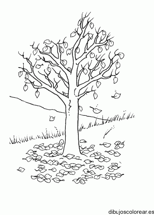 Dibujo de un árbol en otoño