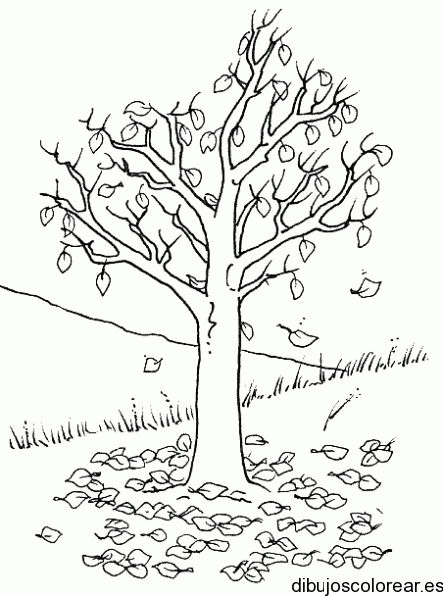 Dibujo de un árbol botando sus hojas