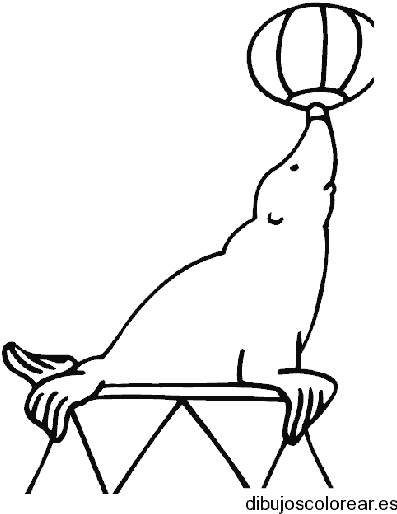 Dibujo de una foca con un balón