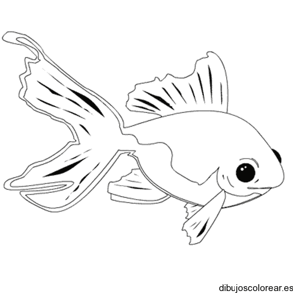 Dibujo de un pez