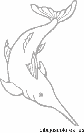 Dibujo de un pez espada
