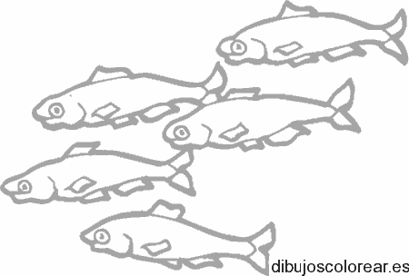 Dibujo de peces