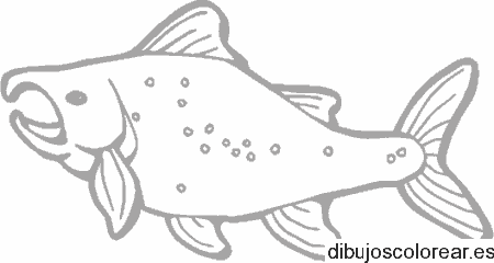Dibujo de un pez respirando