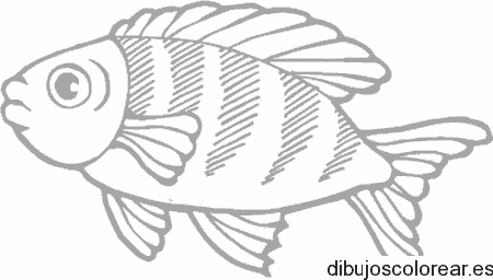 Dibujo de un pez rayado