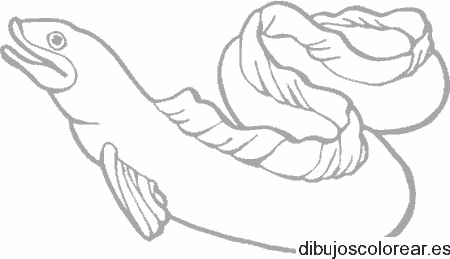Dibujo de un largo pez