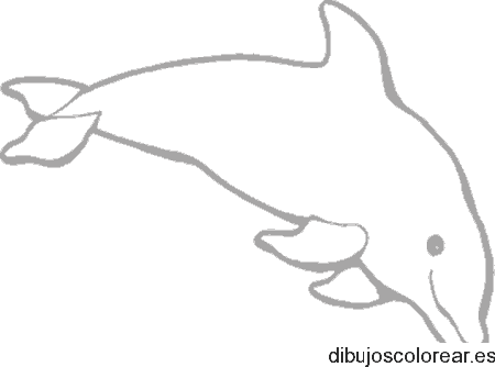 Dibujo de Flipper