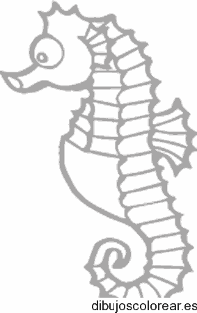 Dibujo de caballito de mar