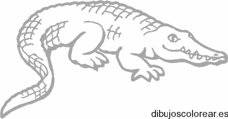 Dibujo de un lagarto en tierra