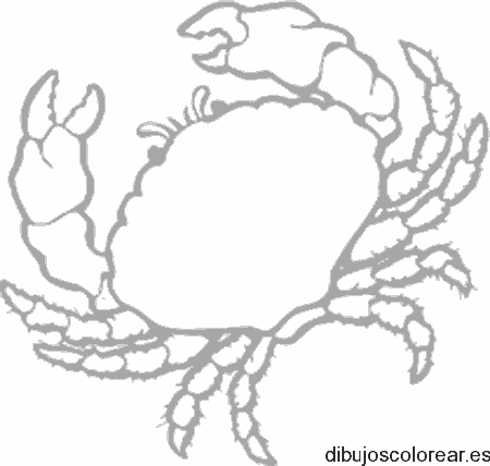 Dibujo de un cangrejo 2