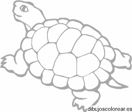 Dibujo de una tortuga