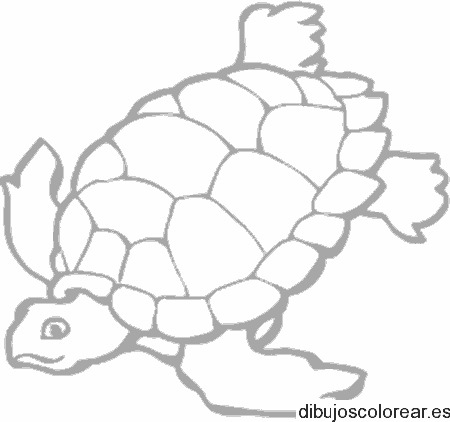 Dibujo de tortuga nadando