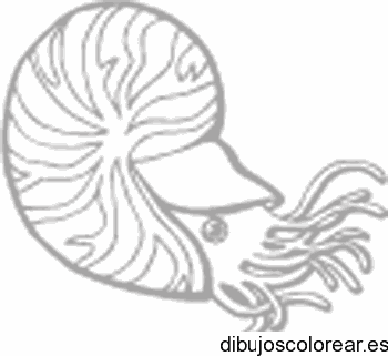 Dibujo de un animal acuático