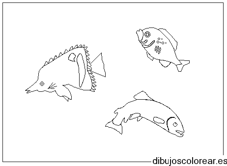 Dibujo de tres peces