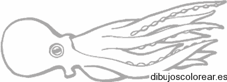 Dibujo de pulpo flotando