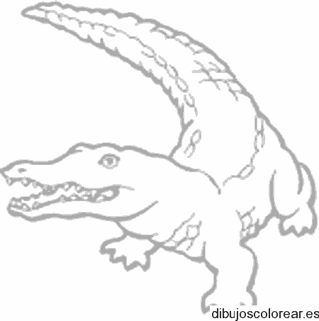 Dibujo de un lagarto