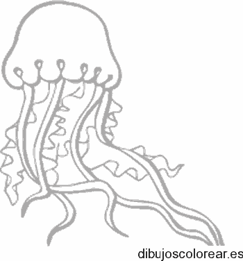 Dibujo de una medusa