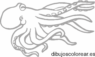 Dibujo de un pulpo