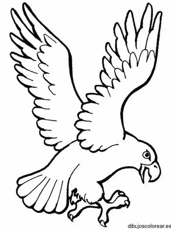 Dibujo de un águila volando