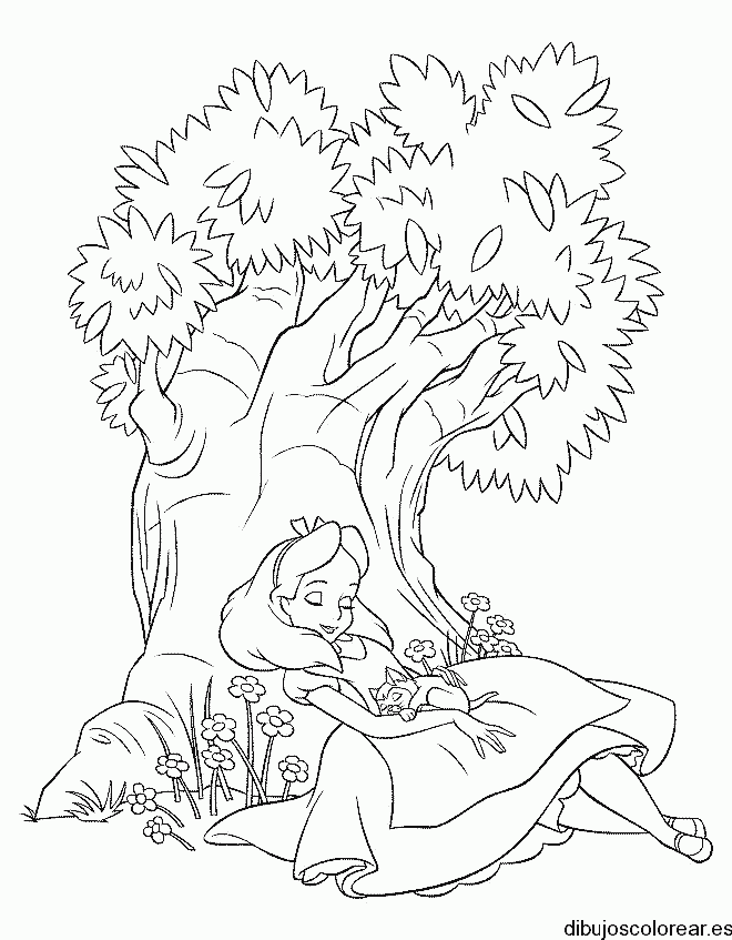 Dibujo de Alicia durmiendo
