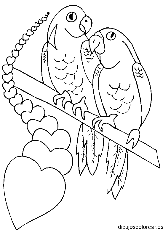 Dibujo de dos loros 