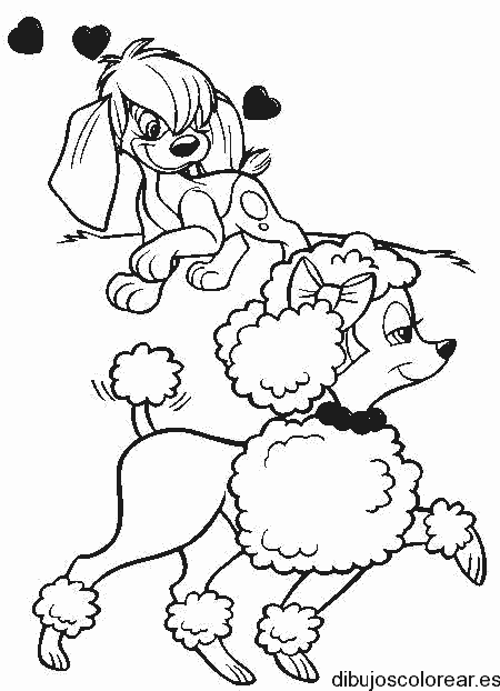 Dibujo de un perro y una perra
