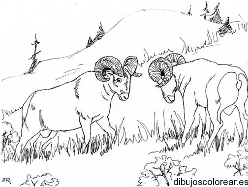 Dibujo de dos animales en el bosque