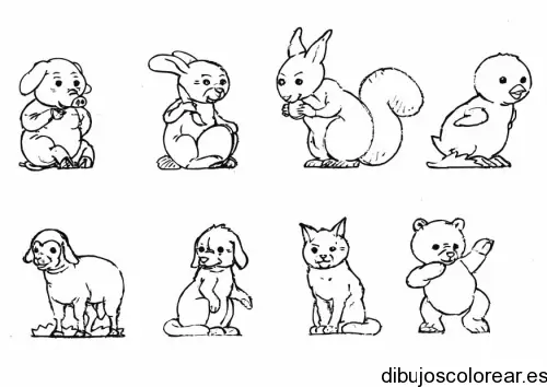 Dibujo de la fauna