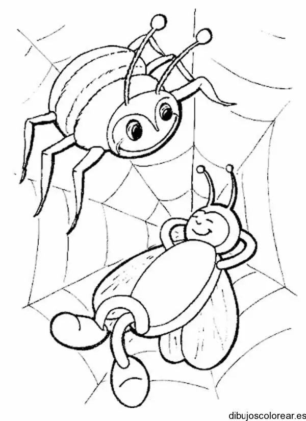 Dibujo de una abeja  y una araña