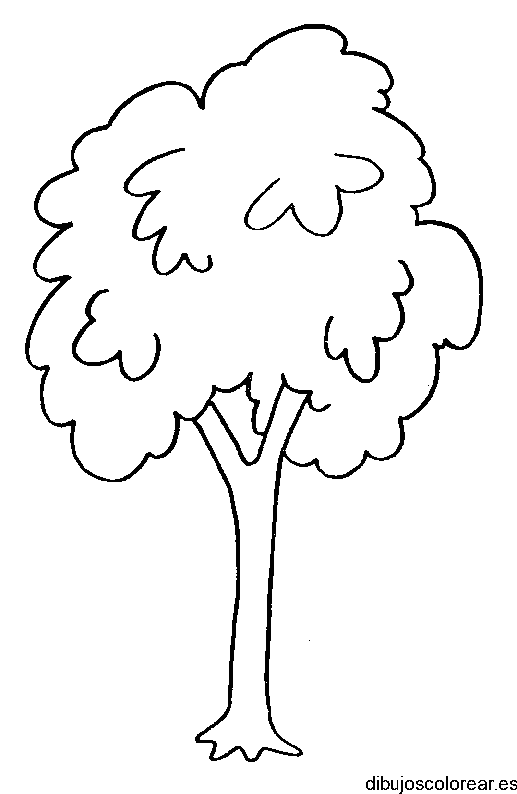 Dibujo de un árbol en el bosque