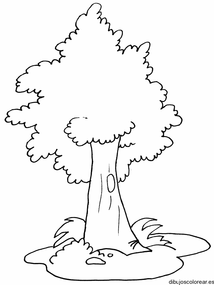 Dibujo de un árbol  de largo tronco