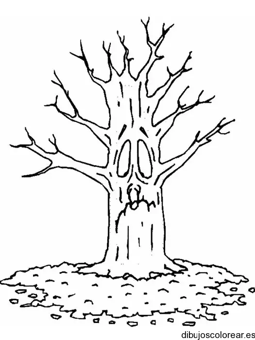 Un árbol sin hojas