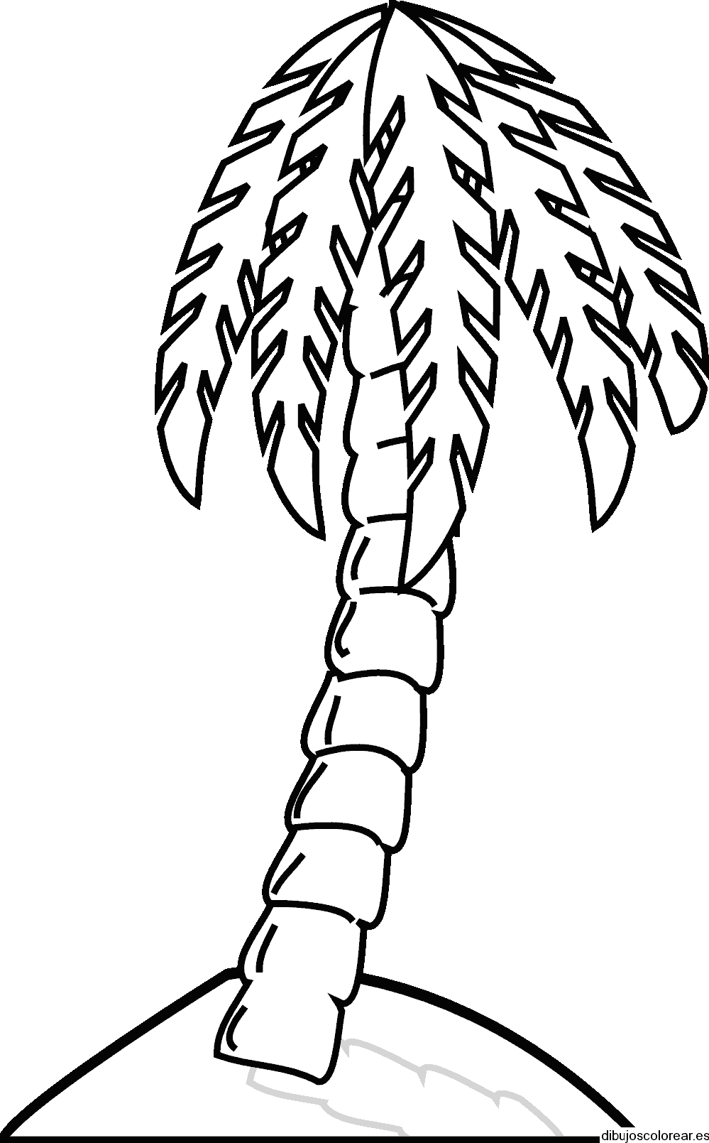 Dibujo de una gran palmera
