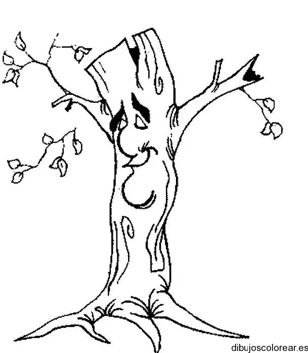 Arbol pintoresco