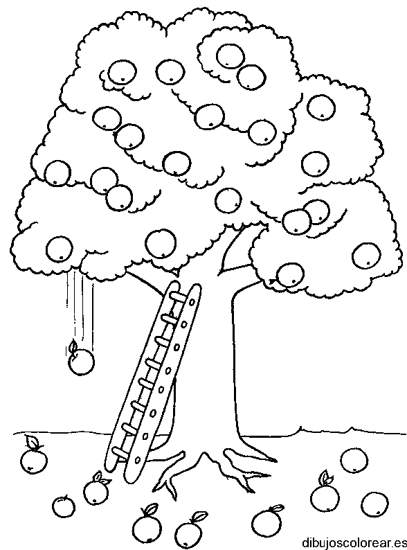 Dibujo de un árbol de naranjas