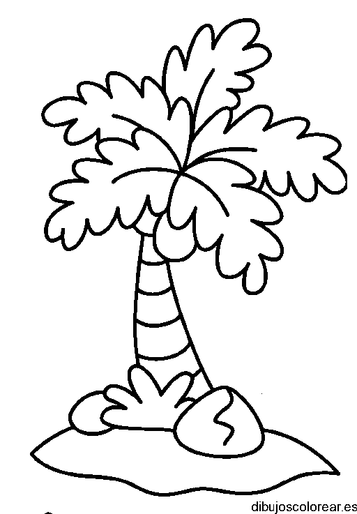 Dibujo de una palmera con cocos
