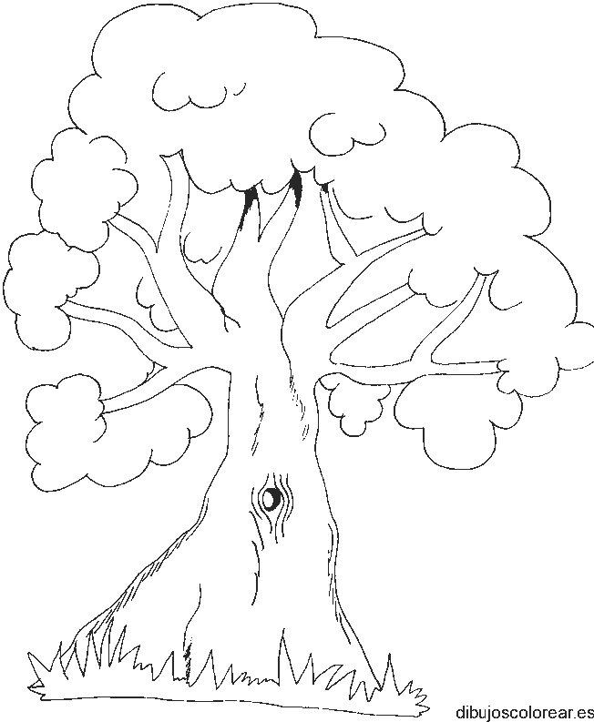 Dibujo de un arbolito