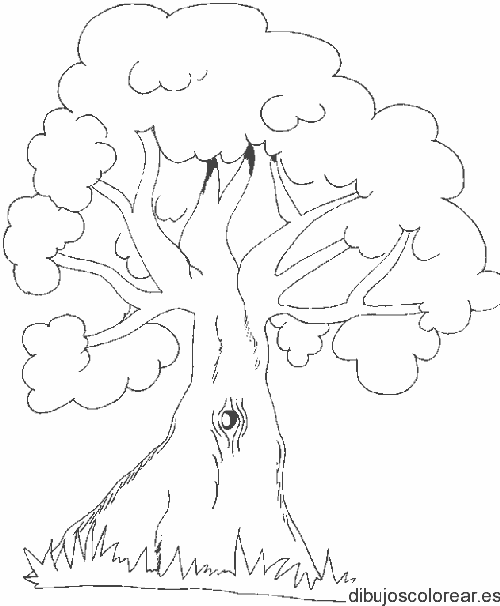 Dibujo de un solitario árbol