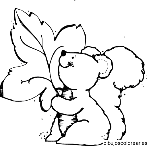 Dibujo de una ardilla y una hoja