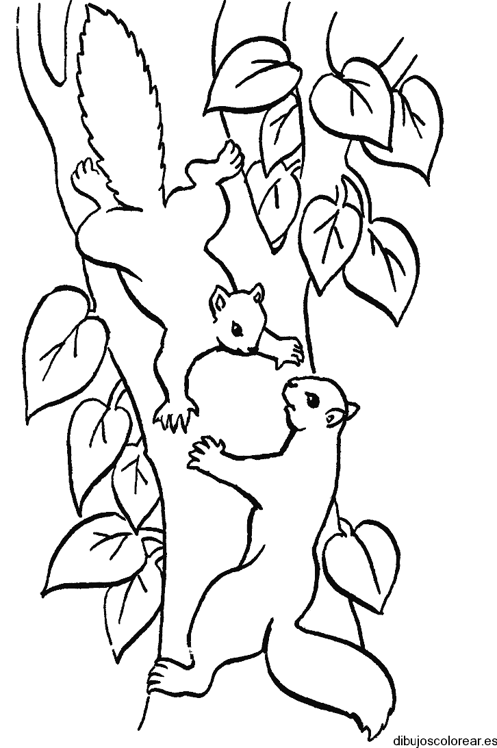 Dibujo de dos ardillas en un árbol