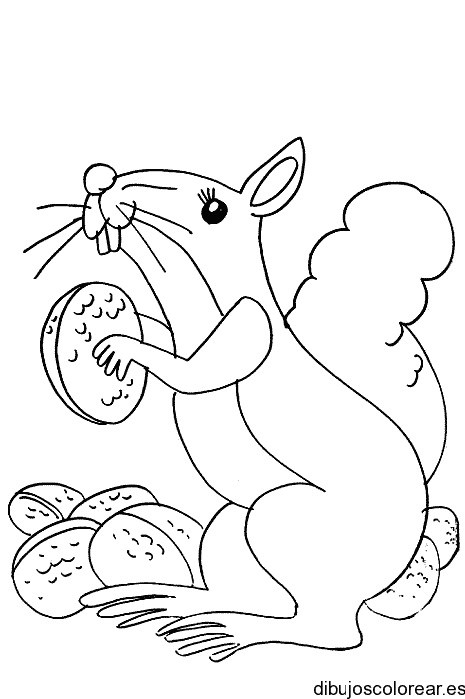 Dibujo de una ardilla con nueces